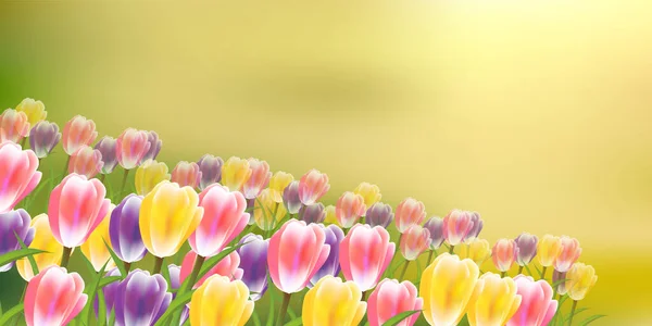 Tulpaner Blommor Vår Himmel Bakgrund — Stock vektor