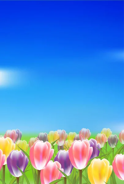 Tulipanes Flores Primavera Cielo Fondo — Vector de stock