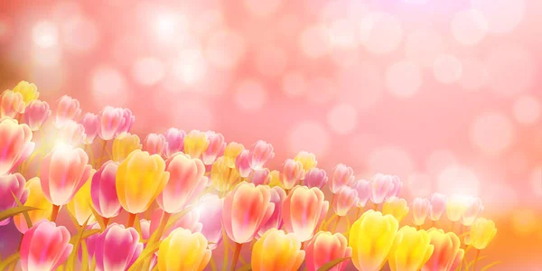 Tulpaner Blommor Vår Himmel Bakgrund — Stock vektor