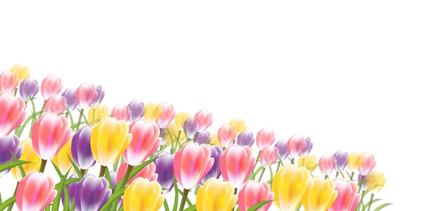 Tulipany Kwiaty Wiosna Niebo Tło — Wektor stockowy