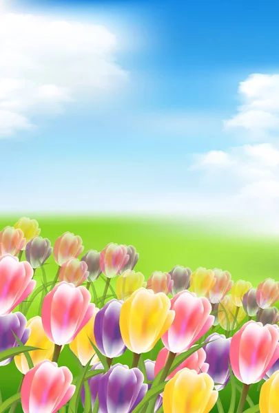 Tulpen Bloemen Lente Hemel Achtergrond — Stockvector