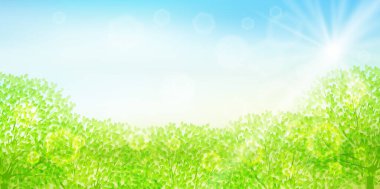 Fresh green leaves light background