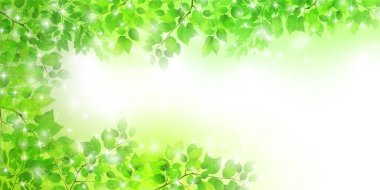 Fresh green leaves light background