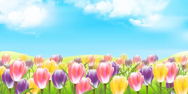 Wiosenne Tło Tulipanami Kwiaty — Wektor stockowy