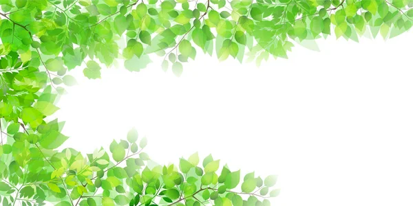 Fresh Green Leaves Light Background — 스톡 벡터