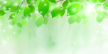 Suluboya ağacı taze yeşil arkaplan