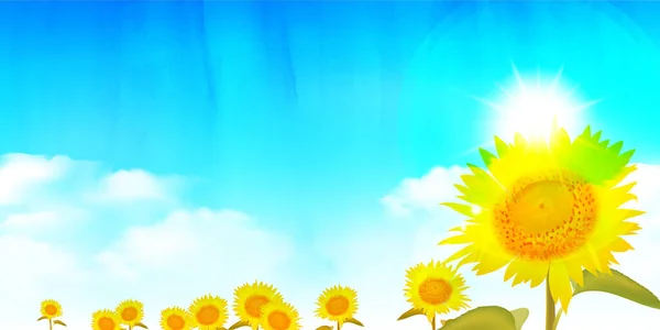 Sonnenblume Aquarell Blume Sommer Hintergrund — Stockvektor