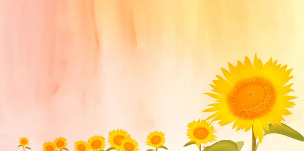 Sonnenblume Aquarell Blume Sommer Hintergrund — Stockvektor