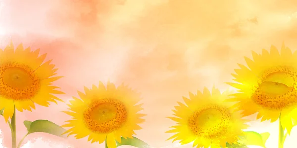 Słonecznik Akwarela Kwiat Lato Tło — Wektor stockowy