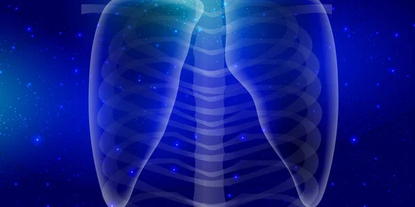 Sfondo Del Corpo Umano Raggi Polmonari — Vettoriale Stock