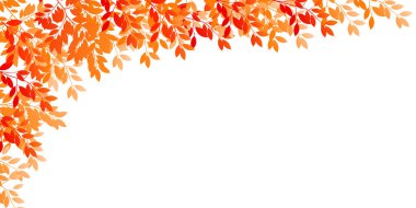 Akçaağaç yaprağı sonbahar Japon kağıt arka planı