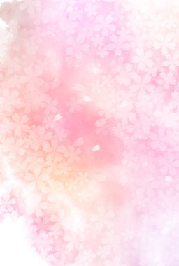 Kiraz çiçeği Japon kağıt suluboya arka planı