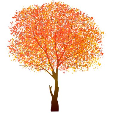 Sonbahar yaprakları akçaağaç simgesi