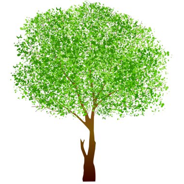 Taze yeşil ağaç yaprağı simgesi