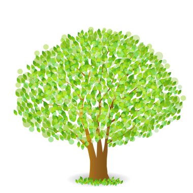 Taze yeşil ağaç yaprağı simgesi