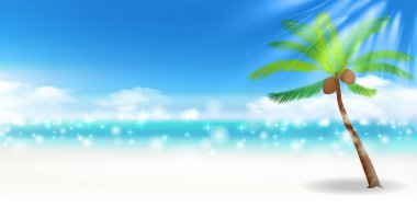 Deniz palmiyesi yaz gökyüzü arkaplanı