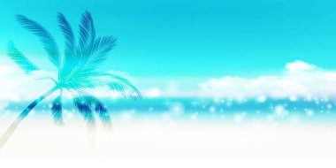 Deniz palmiyesi yaz gökyüzü arkaplanı