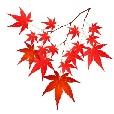 Sonbahar yaprakları sonbahar ağacı simgesi