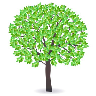 Taze yeşil ağaç yaprağı simgesi