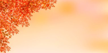 Sonbahar, sonbahar ışığı arkaplanından ayrılıyor