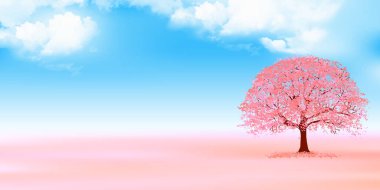 Kiraz çiçeği bahar arkaplanı