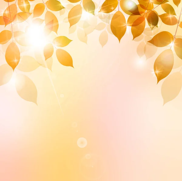 ใบไม วงท นหล งแสงฤด ใบไม — ภาพเวกเตอร์สต็อก