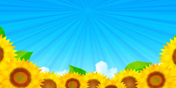 Sunflower Summer Sky Landscape Background — Stock Vector