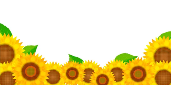 Sunflower Summer Sky Landscape Background — Stock Vector