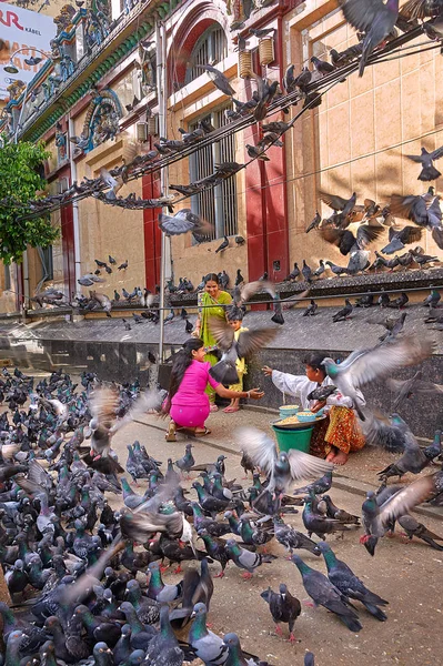 Yangon, Myanmar - 21 Ekim, 2017: Hint yoldan geçen aile güvercinler yüzlerce tarafından çevrili. İki sokak satıcıları güvercin gıda satmak için bekliyor.