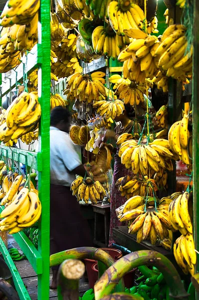 China Town, Yangon-21 Ocak 2017: sadece Bananas. Bir müşteri sadece çeşitli muz satmak bir mağazada muz bir demet seçiyor. 