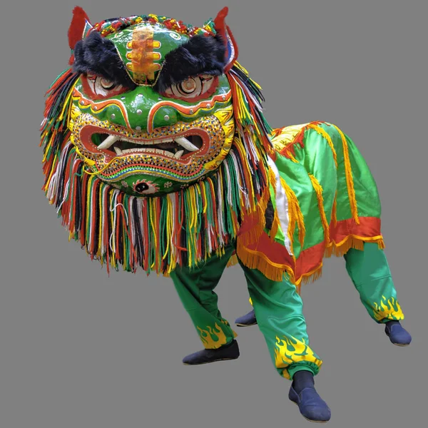 LION DANCE  Traditional dance in Chinese culture. A mimic of lions movements in lion costume on gray background with clipping path.