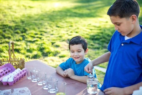 Les Jeunes Garçons Amusent Colorier Les Oeufs Pâques — Photo