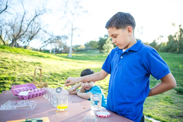 Young Boys eğleniyor Paskalya yumurta boyama