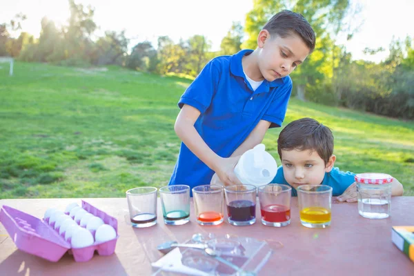 Meninos Divertindo Colorir Easter Eggs Irmão Mais Velho Derramando Vinagre — Fotografia de Stock