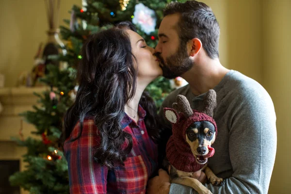 Хутряна дитина Різдвяний портрет пари зі своїм собакою — стокове фото