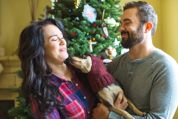 Feliz pareja en Navidad con su perro —  Fotos de Stock