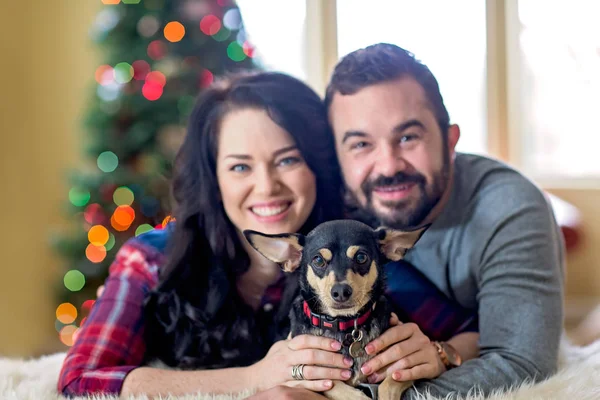 Pele bebê retrato de Natal cão é o foco — Fotografia de Stock