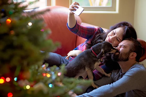 Ευτυχισμένο ζευγάρι τα Χριστούγεννα με το σκύλο τους — Φωτογραφία Αρχείου