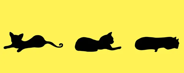 Συλλογή σιλουέτα τρεις μαύρο μικρό, αστείο, παιχνιδιάρικο γατάκι, — Διανυσματικό Αρχείο