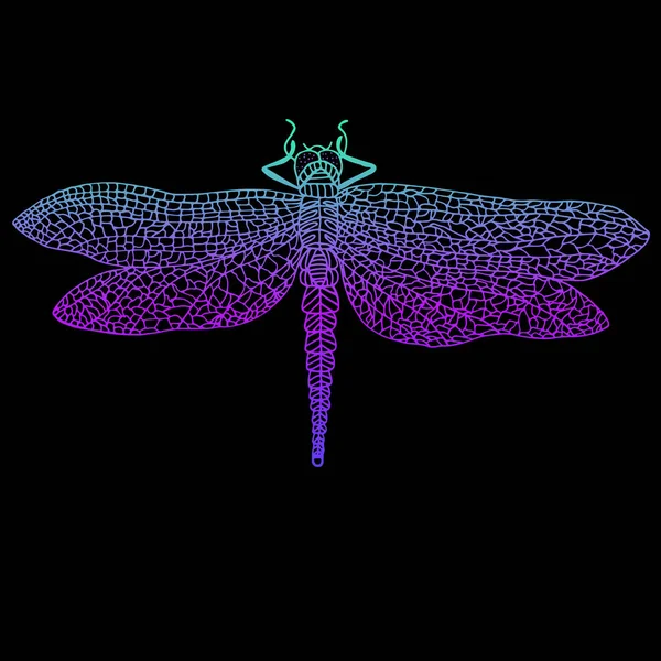 Libélula, hermoso insecto alado, color violeta azul brillante — Vector de stock