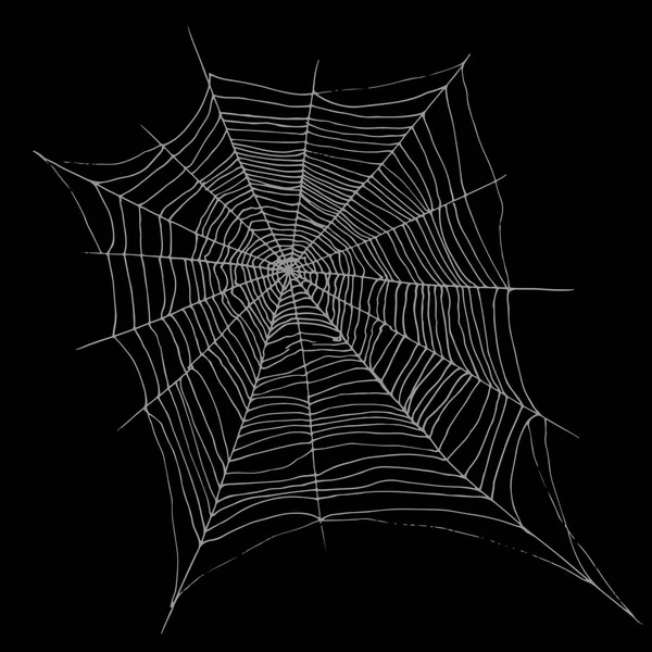 Ręka rysunku ozdobny piękny spider web, kreskówka szkic chlew — Wektor stockowy