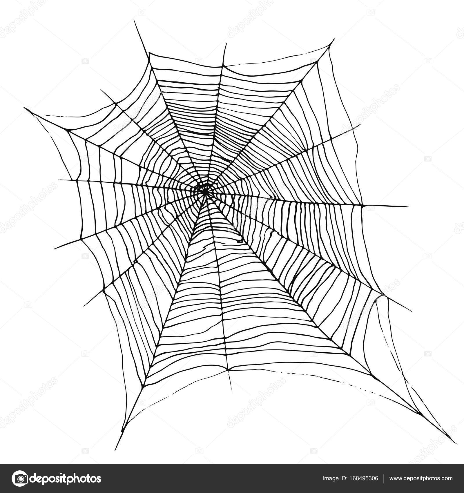 手描画装飾の美しいクモの巣漫画スケッチものもらい ストックベクター ©OlgaPerpetuumMobile 168495306, image size:963x1024