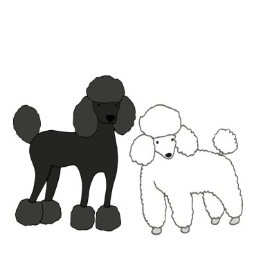 İki sevimli, güzel köpek, bir siyah, ikinci beyaz, izole w üzerinde