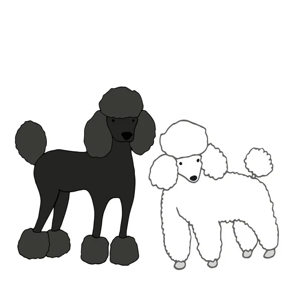 Deux mignons, beaux chiens, un noir, deuxième blanc, isolé sur w — Image vectorielle