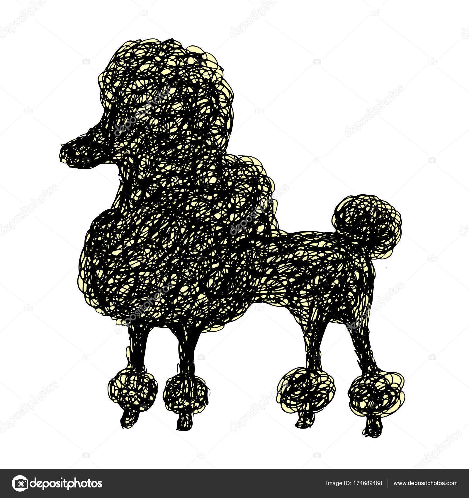 Sylwetka Pies Pudel Doodle Stylu Kreskówka Kulas Szczeniak