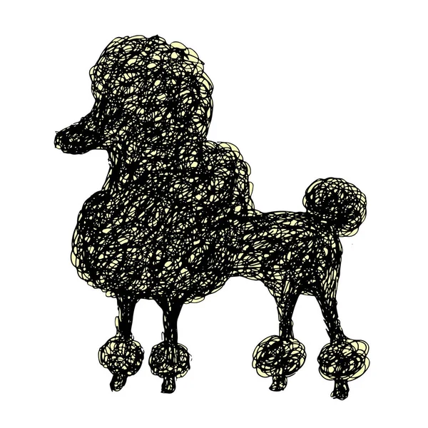 Silhouette di un cane barboncino, stile doodle, cartone animato scarabocchio cucciolo — Vettoriale Stock