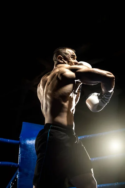 Boxerin auf Boxring geschlagen — Stockfoto