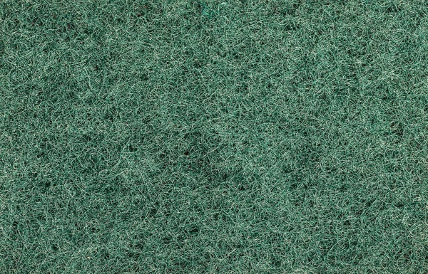 Esponja de baño de primer plano de fibra comprimida, fondo abstracto verde — Foto de Stock
