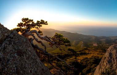 Güzellik doğa manzara Crimea