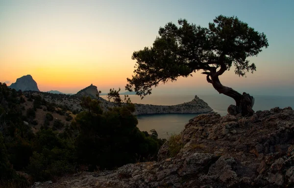 Κάλλους φύση Κριμαία — Φωτογραφία Αρχείου